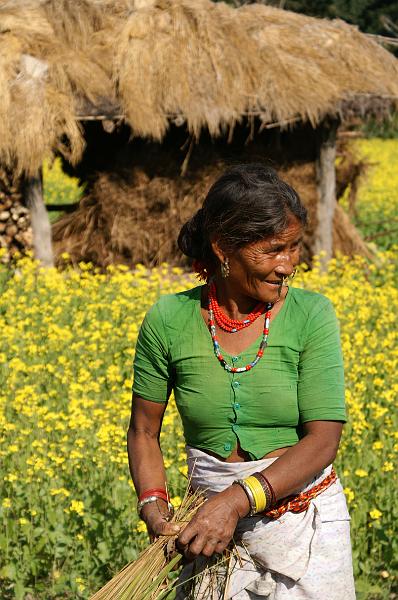 Chitwan1.JPG