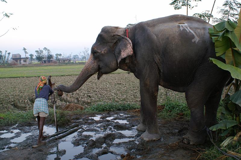 Chitwan9.JPG