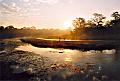 Chitwan14
