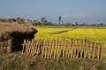 Chitwan4