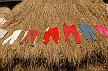 Chitwan8