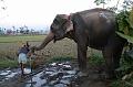 Chitwan9