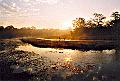 Chitwan